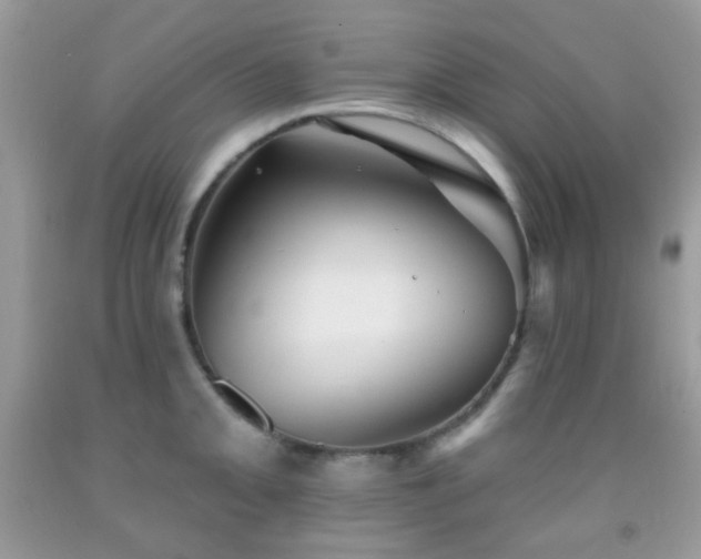 X0000091971093200709061326
