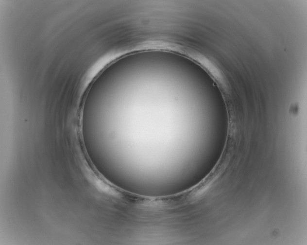 X0000091971094200709061326