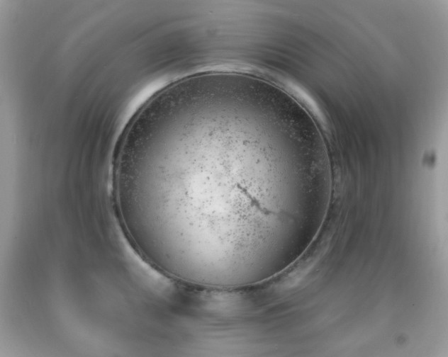 X0000091971095200709061326