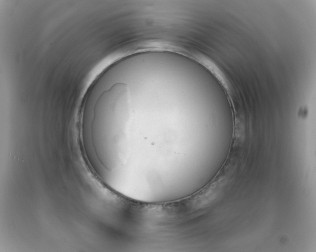 X0000091971098200709061326
