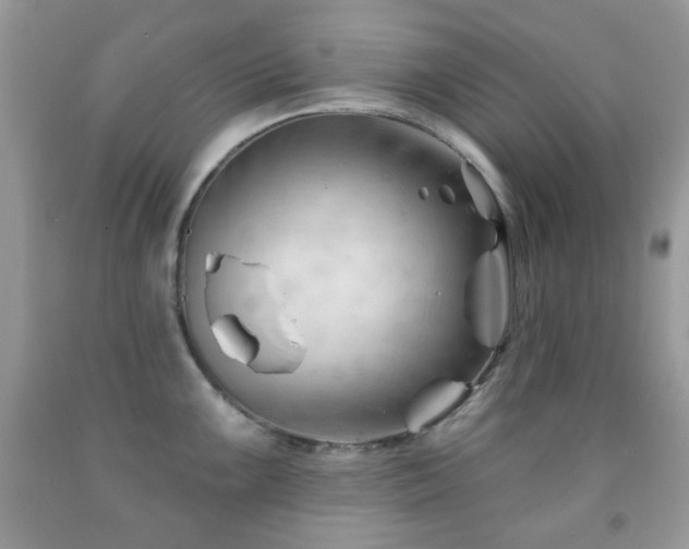 X0000091971099200709061326
