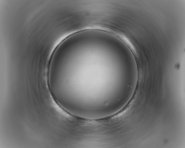 X0000091971100200709061326