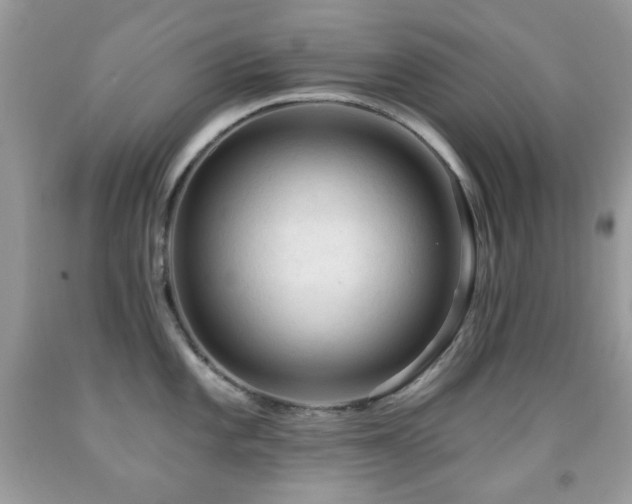 X0000091971101200709061326