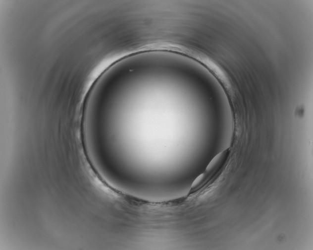 X0000091971102200709061326
