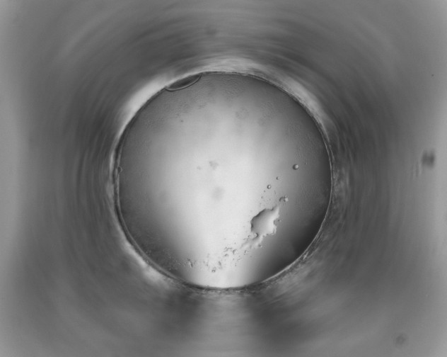 X0000091971103200709061326