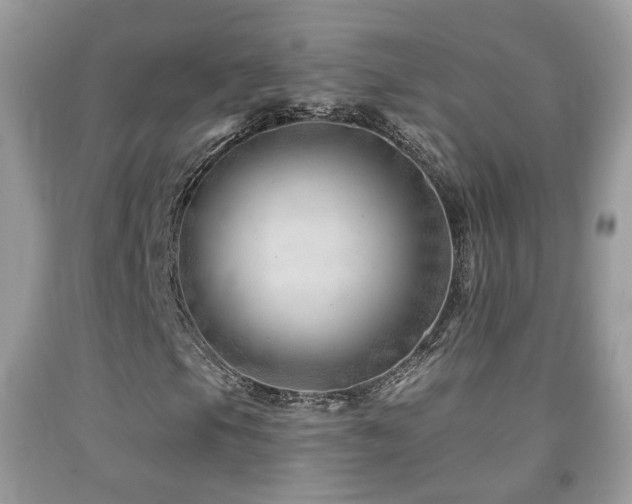 X0000091971105200709061325