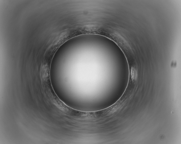 X0000091971107200709061325