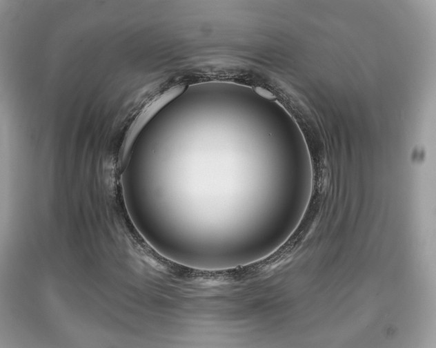 X0000091971108200709061325