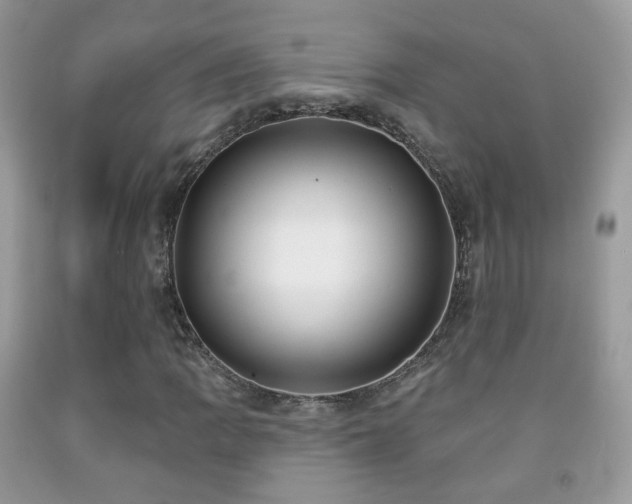 X0000091971109200709061325