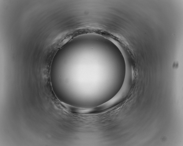 X0000091971110200709061325