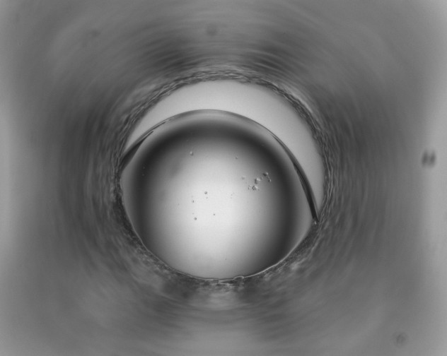 X0000091971111200709061325