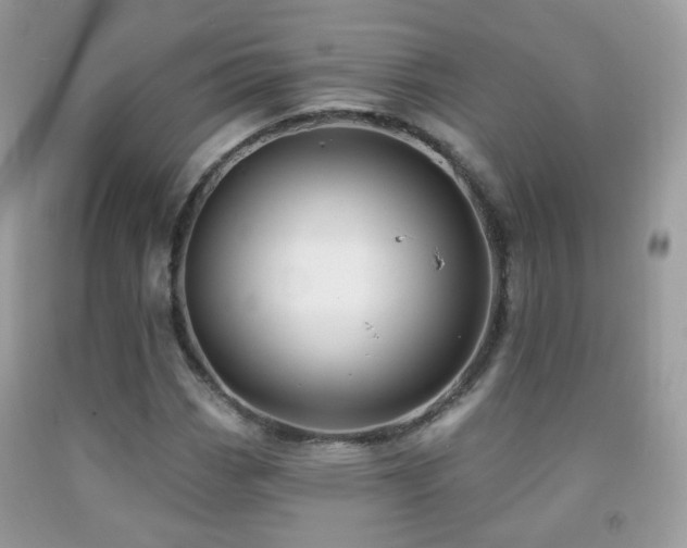 X0000091971113200709061325