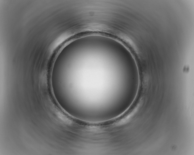 X0000091971114200709061325