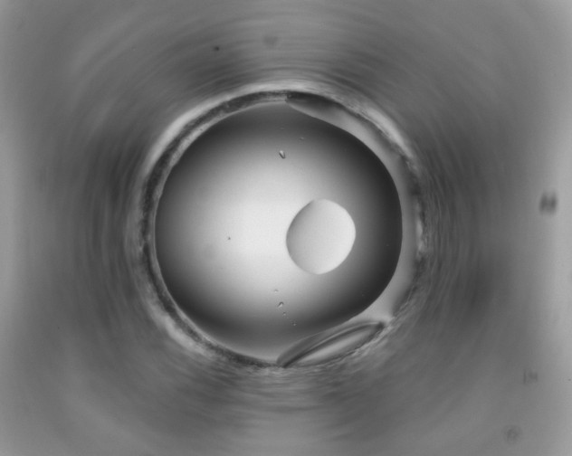 X0000091971116200709061325