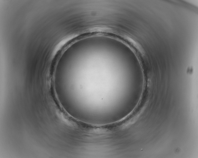 X0000091971117200709061325