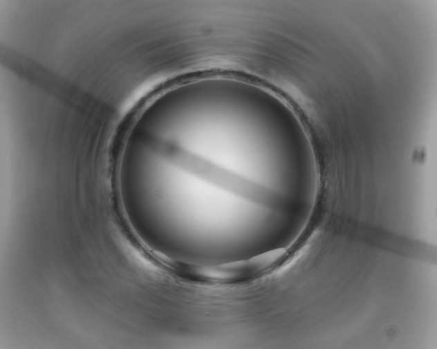 X0000091971118200709061325