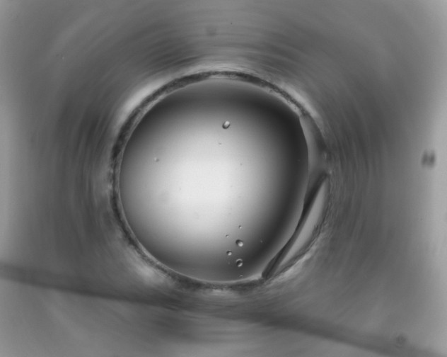 X0000091971119200709061325