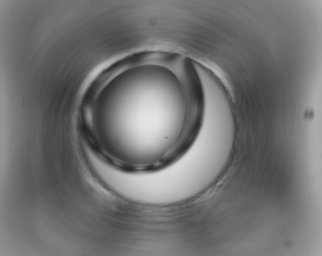 X0000091971120200709061325