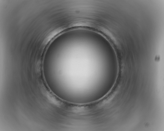 X0000091971121200709061325