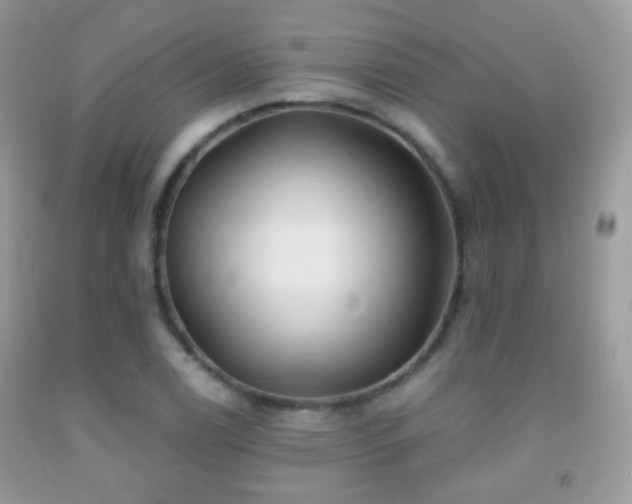 X0000091971122200709061325