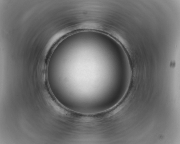 X0000091971123200709061325