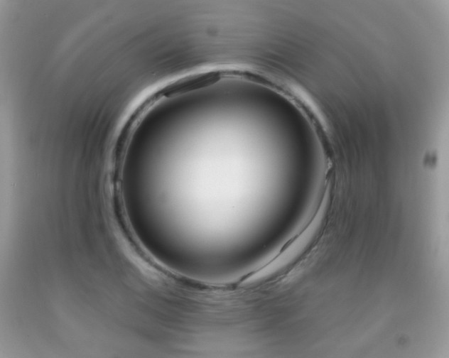 X0000091971124200709061325