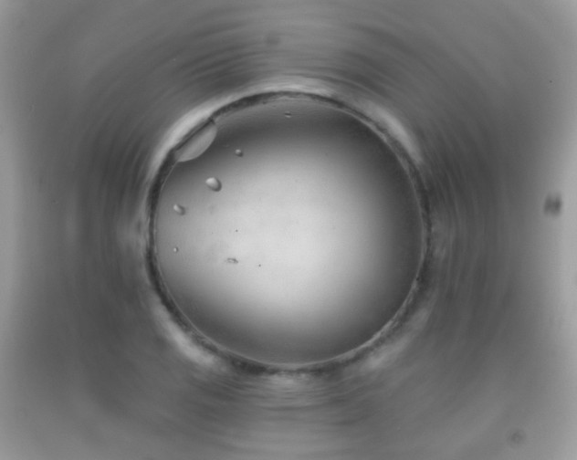 X0000091971125200709061326