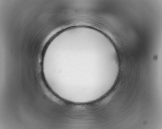 X0000091971126200709061326