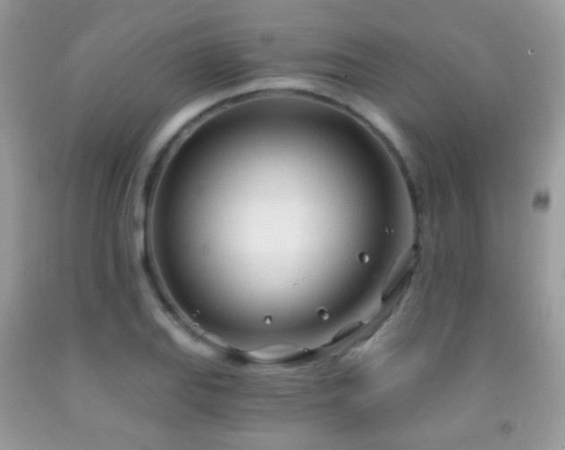 X0000091971127200709061326