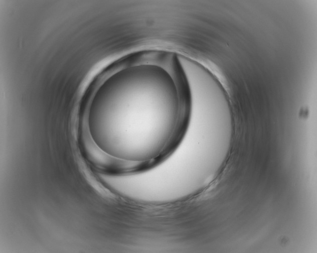 X0000091971128200709061326
