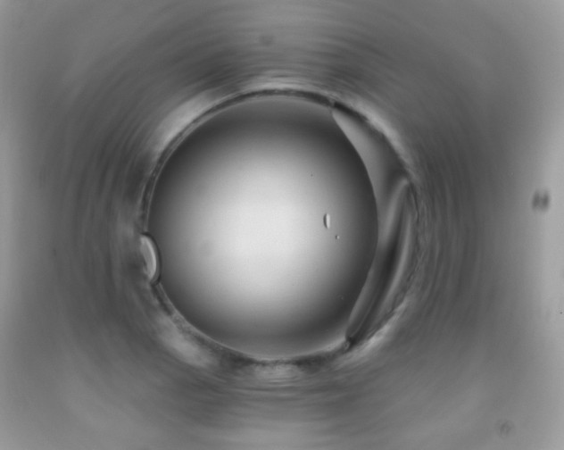 X0000091971129200709061326