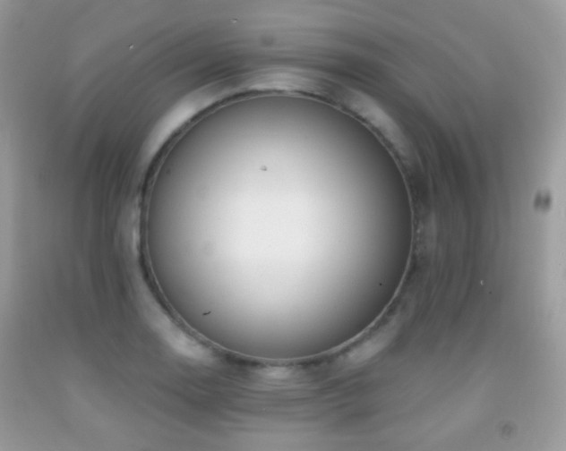 X0000091971130200709061326