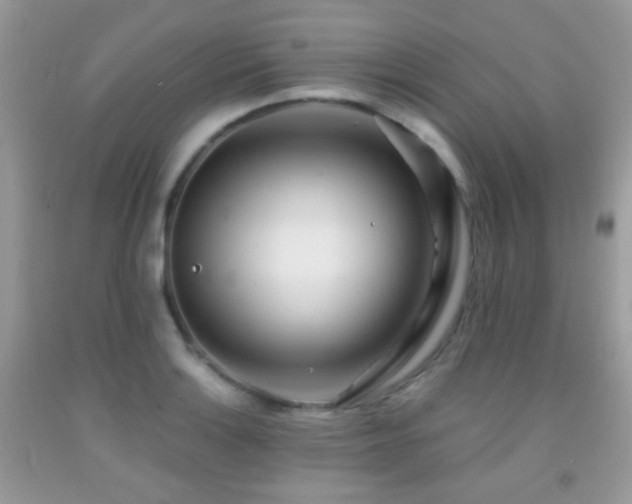 X0000091971132200709061326