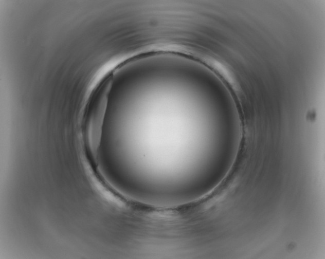 X0000091971133200709061326
