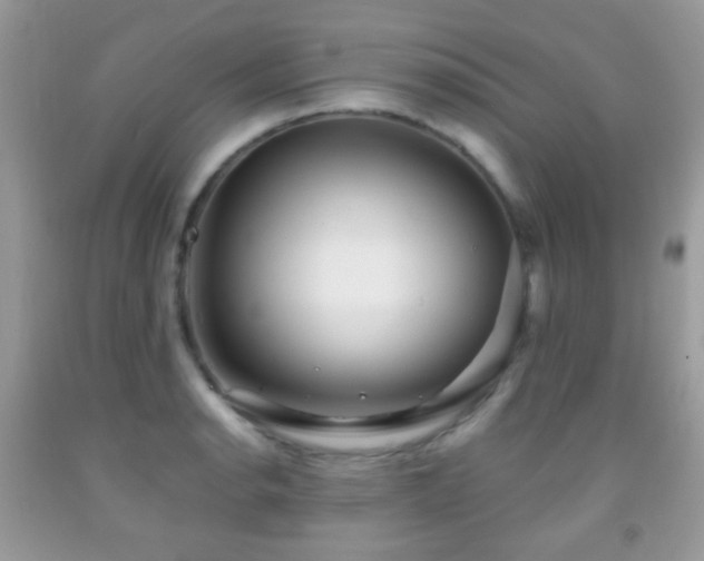 X0000091971134200709061326