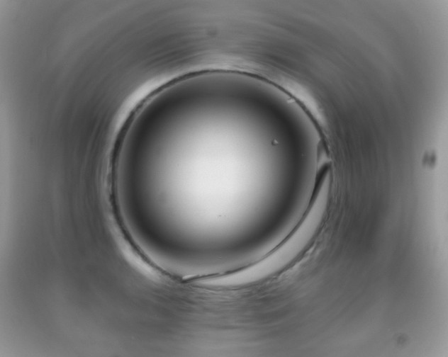 X0000091971136200709061326