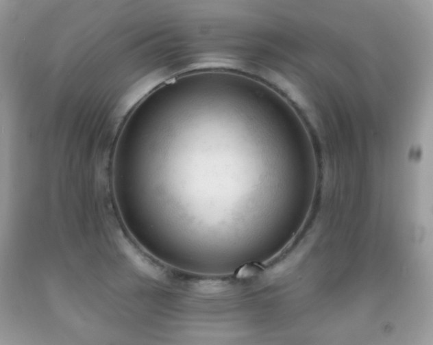 X0000091971137200709061326