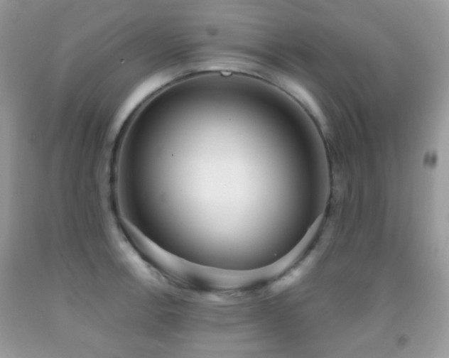 X0000091971138200709061326
