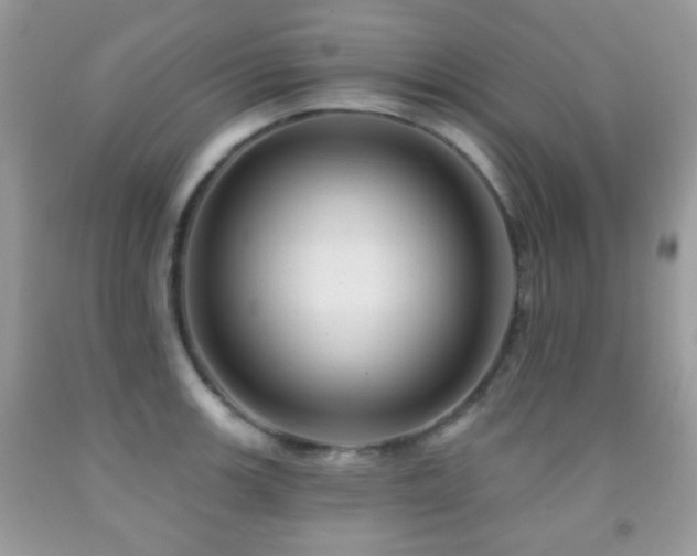 X0000091971139200709061326