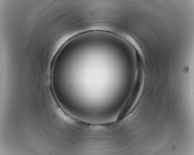 X0000091971140200709061326