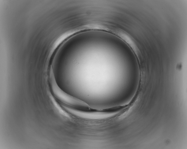 X0000091971141200709061326