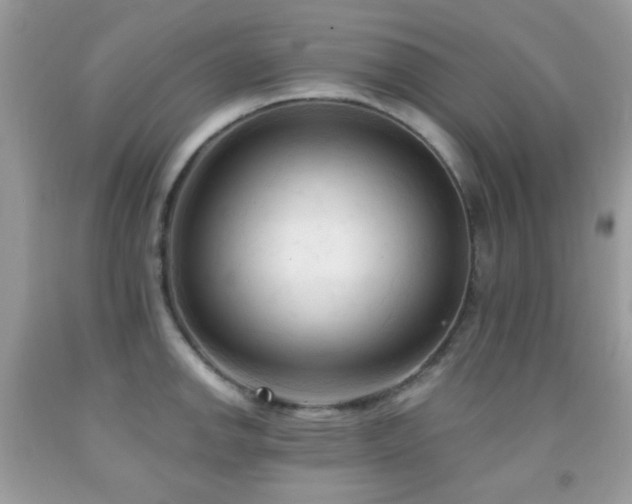 X0000091971142200709061326