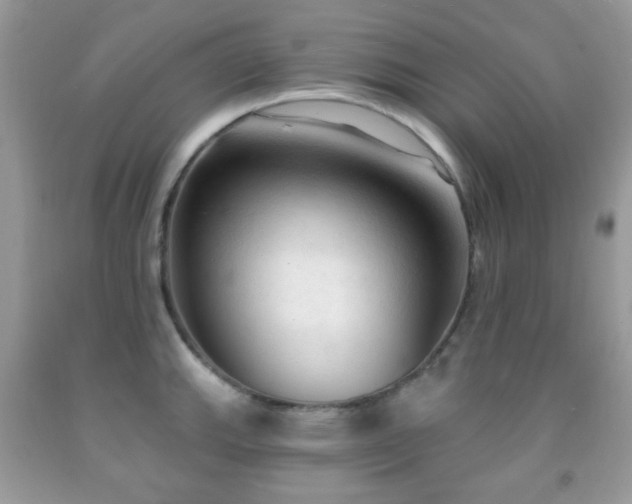 X0000091971143200709061326