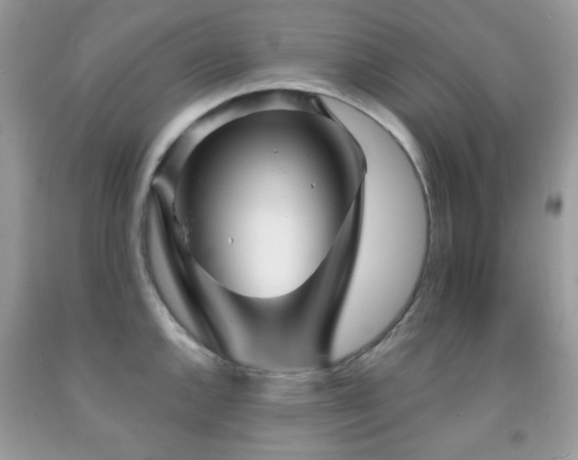 X0000091971144200709061326