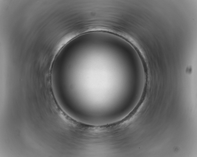 X0000091971145200709061326