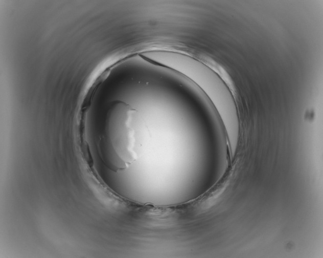 X0000091971146200709061326