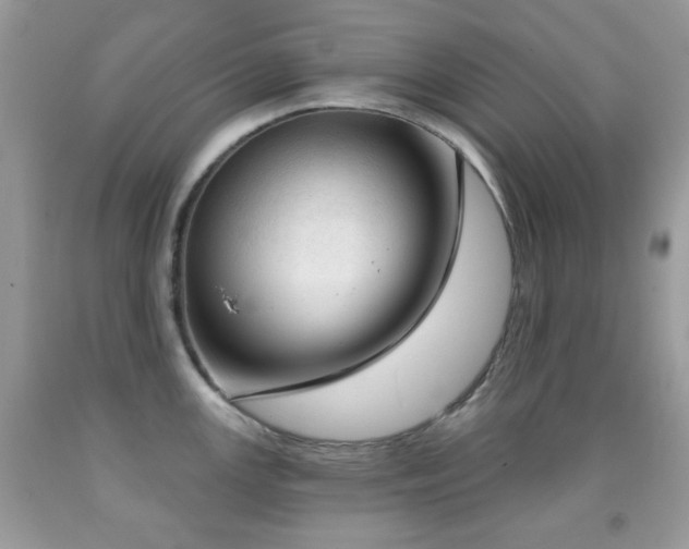 X0000091971147200709061326