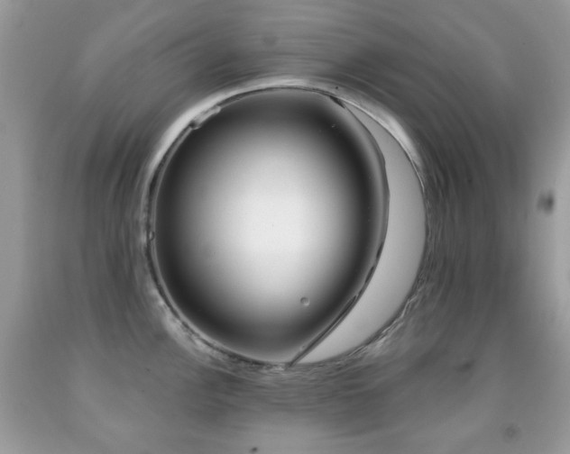 X0000091971148200709061326