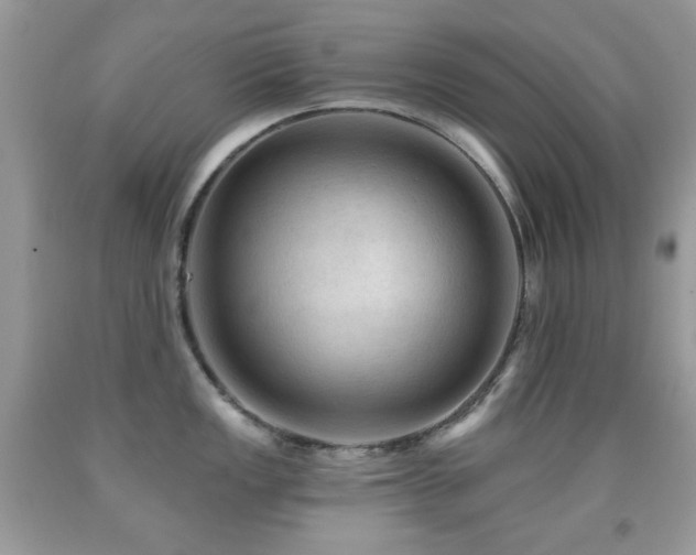 X0000091971149200709061326