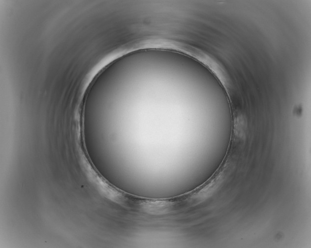 X0000091971150200709061326